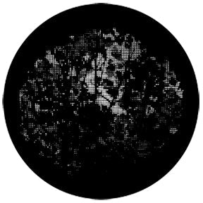 77839 Sapling - Rosco Standard Steel Gobo